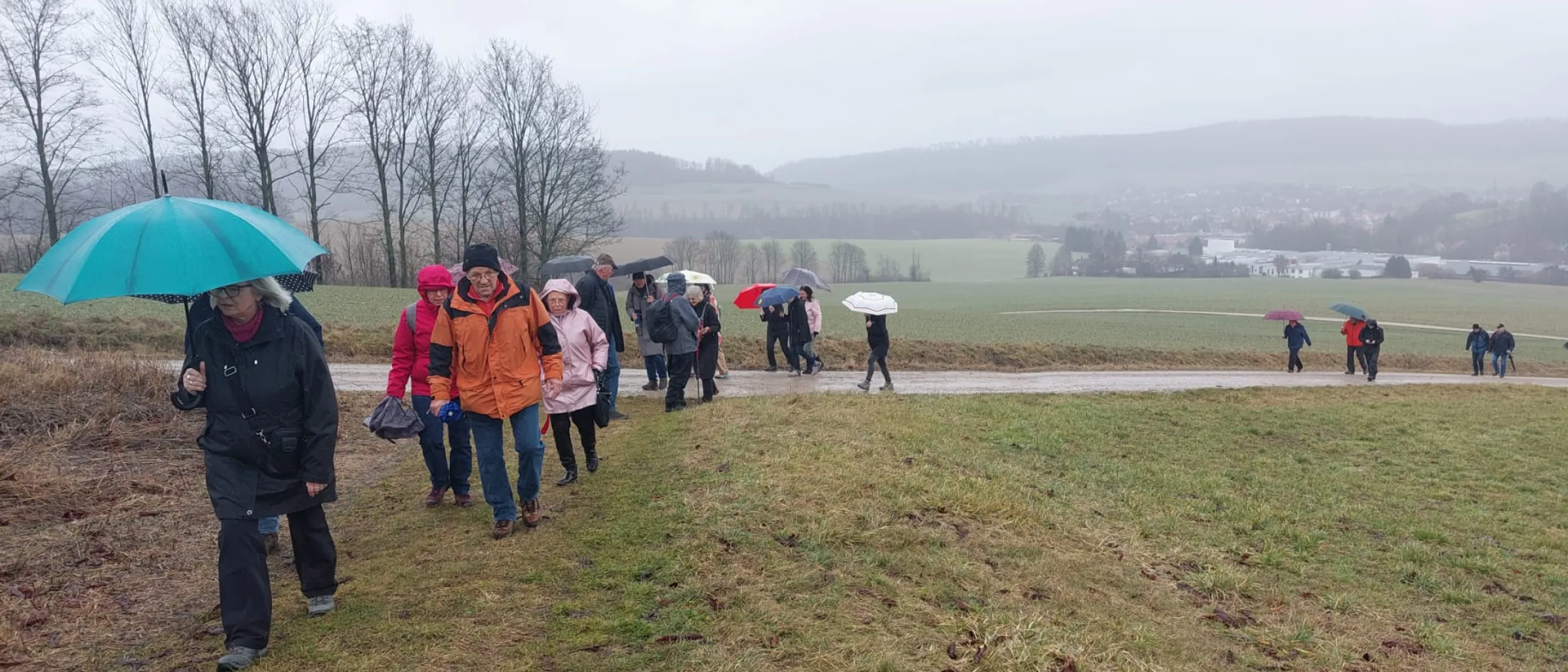 Das Foto zeigt eine Gruppe Wanderer und Wanderinnen auf dem Weg durch den Hils. Man erkennt den Nieselregen am Nebel und den aufgespannten Regenschirmen.